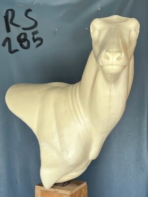 Red Stag, RS285, Jetz Taxidermy