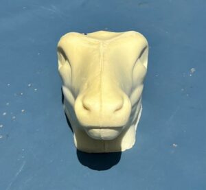 Fallow Head, FA Head, Jetz Taxidermy Supply